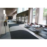 Supreme Knob Entrance Matting, Wiper/Scraper, 3-1/2' x 6' x 7/16", Charcoal MAS Chibougamau