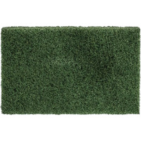 Disposable Thinline Scrubbing Pad, Scrubbing/Stripping, Green MAS Chibougamau