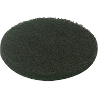 Floor Pad, Scrubbing, Green MAS Chibougamau