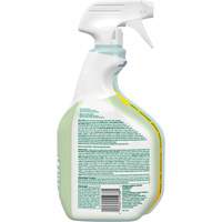 CloroxPro Clorox EcoClean Disinfecting Cleaner, 946 ml, Trigger Bottle MAS Chibougamau