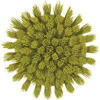 Brosse ronde HyDrive pour perceuse, Soies Tr&egrave;s ferme, Longueur de 3-1/10", Jaune MAS Chibougamau