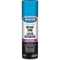 Pro Line Instant Shine for Plastic Surfaces, 11 oz., Aerosol Can MAS Chibougamau