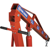 Grues d'atelier escamotables de 2 tonnes, Capacit&eacute; 4000 lb (2 tonnes) MAS Chibougamau