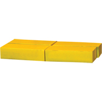 Contrepoids de 200 lb MAS Chibougamau