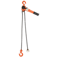 Lever Chain Hoist, 10' Lift, 1000 lbs. (0.5 tons) Capacity, Alloy Steel Chain MAS Chibougamau