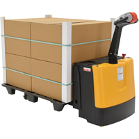 Fully Powered Electric Pallet Truck, 3300 lbs. Cap., 48" L x 28.25" W MAS Chibougamau