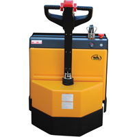 Fully Powered Electric Pallet Truck, 4500 lbs. Cap., 48" L x 30.25" W MAS Chibougamau