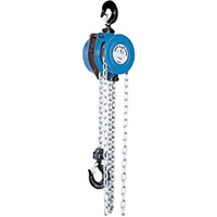 Tralift&reg; Manual Chain Hoist, 10' Lift, 4000 lbs. (2 tons) Capacity, Grade 80 Chain MAS Chibougamau