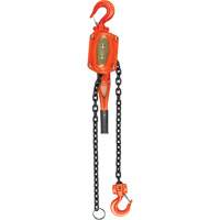 Lever Hoist, 5' Lift, 6000 lbs. (3 tons) Capacity, Alloy Steel Chain MAS Chibougamau