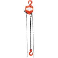 Chain Hoist, 20' Lift, 10000 lbs. (5 tons) Capacity, Alloy Steel Chain MAS Chibougamau