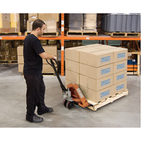 Heavy-Duty Manual Pallet Truck, Steel, 48" L x 27" W, 5500 lbs. Capacity MAS Chibougamau