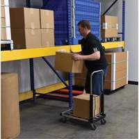 Fold-Up Platform Truck, Stainless Steel, 300 lbs., 28" L x 16" W, 33-1/2" High MAS Chibougamau