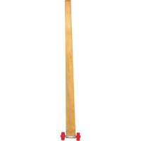Pry-Lever Bar MAS Chibougamau