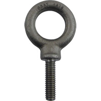 Alloy Steel Eye Bolt, 1" Dia., 1-1/4" L, 1480 lbs. (0.74 tons)/1480 lbs. Capacity MAS Chibougamau