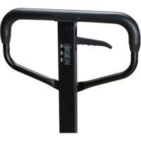 Transpalette &agrave; roues en acier, Acier, 48" lo x 27" la, Capacit&eacute; 5500 lb MAS Chibougamau