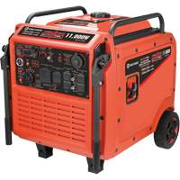 Tri-Fuel Inverter Generator MAS Chibougamau
