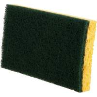 Utility Sponges, Cellulose, 6" W x 3-1/2" L MAS Chibougamau