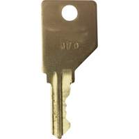 Replacement Key for Frost Smoking Receptacles MAS Chibougamau