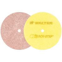 Quick-Step Instant Polish Discs, 5" Dia. MAS Chibougamau
