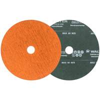 Coolcut XX Sanding Disc, Aluminum Oxide/Ceramic, 24, 5" Dia x 7/8" Arbor MAS Chibougamau