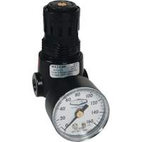 Wilkerson Miniature Regulator R04, 1/4" NPT, 300 psi Max. PSI, Standard MAS Chibougamau