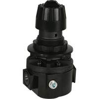 Wilkerson Regulator R26, 3/8" NPT, 300 psi Max. PSI, Standard MAS Chibougamau