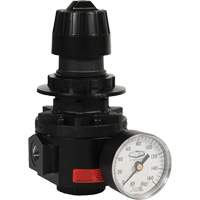 Wilkerson Regulator R26, 1/2" NPT, 300 psi Max. PSI, Standard MAS Chibougamau