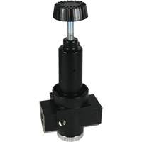 Wilkerson High Flow Regulator R30, 3/4" NPT, 300 psi Max. PSI, Standard MAS Chibougamau