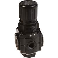 Series 1 Manifold Regulator, 1/4" NPT, 150 PSI Max. PSI, Standard MAS Chibougamau