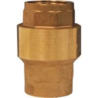 Horizontal Swing Check Valve MAS Chibougamau