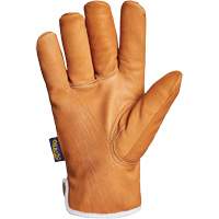 Endura&reg; Gloves, Large, Synthetic Palm, Thinsulate Inner Lining MAS Chibougamau