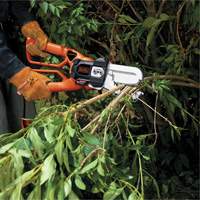 Alligator&reg; Lopper MAS Chibougamau
