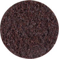 Standard Abrasives Surface Conditioning Discs, 2" Dia., Coarse Grit MAS Chibougamau