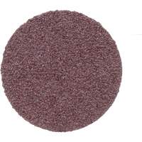 Surface Conditioning Disc, 1" Dia., P100 Grit, Aluminum Oxide MAS Chibougamau