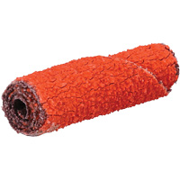 Rouleau de cartouche Blaze R920, 60 Grain, 3/8" dia., C&eacute;ramique d'alumine, 1-1/2" lo, 1/8" Dimension de l'arbre MAS Chibougamau