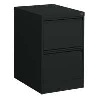 Vertical Filing Cabinet, Steel, 2 Drawers, 18-1/7" W x 25" D x 29" H, Black MAS Chibougamau