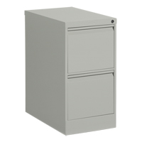 Classeur vertical, Acier, 2 tiroirs, 15-1/7" la x 25" p x 29" h, Gris MAS Chibougamau