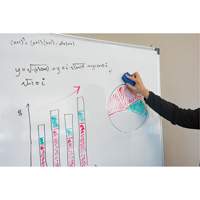 Whiteboard Eraser MAS Chibougamau