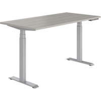 Table rectangulaire &agrave; hauteur r&eacute;glable Newland MAS Chibougamau