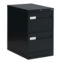 Vertical Filing Cabinet with Recessed Drawer Handles, 2 Drawers, 18.15" W x 26.56" D x 29" H, Black MAS Chibougamau