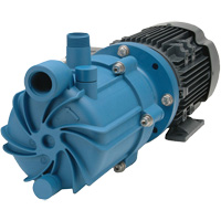 Self-Priming Magnetic Drive Pump with Carbon Bushing MAS Chibougamau