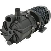 Self-Priming Magnetic Drive Pump with Carbon Bushing MAS Chibougamau