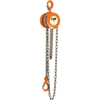 Chain Hoist, 10' Lift, 1000 lbs. (0.5 tons) Capacity, Steel Chain MAS Chibougamau