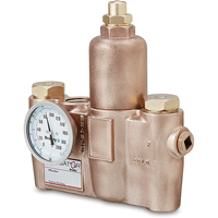 Vannes de m&eacute;lange thermostatiques, 19,5 gal./min MAS Chibougamau