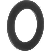 Replacement Gaskets for Inhalation Valves MAS Chibougamau
