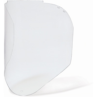 Bionic Replacement Faceshield, Polycarbonate, Clear Tint MAS Chibougamau