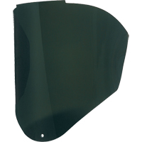 Face Protection