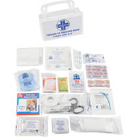 First Aid Kit, Class 1 Medical Device, Plastic B MAS Chibougamau