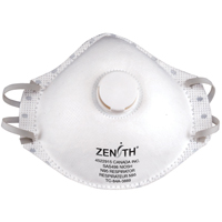Disposable Respirators