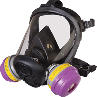 Respirateur &agrave; masque complet de s&eacute;rie RU6500 de North, Silicone, Petit MAS Chibougamau